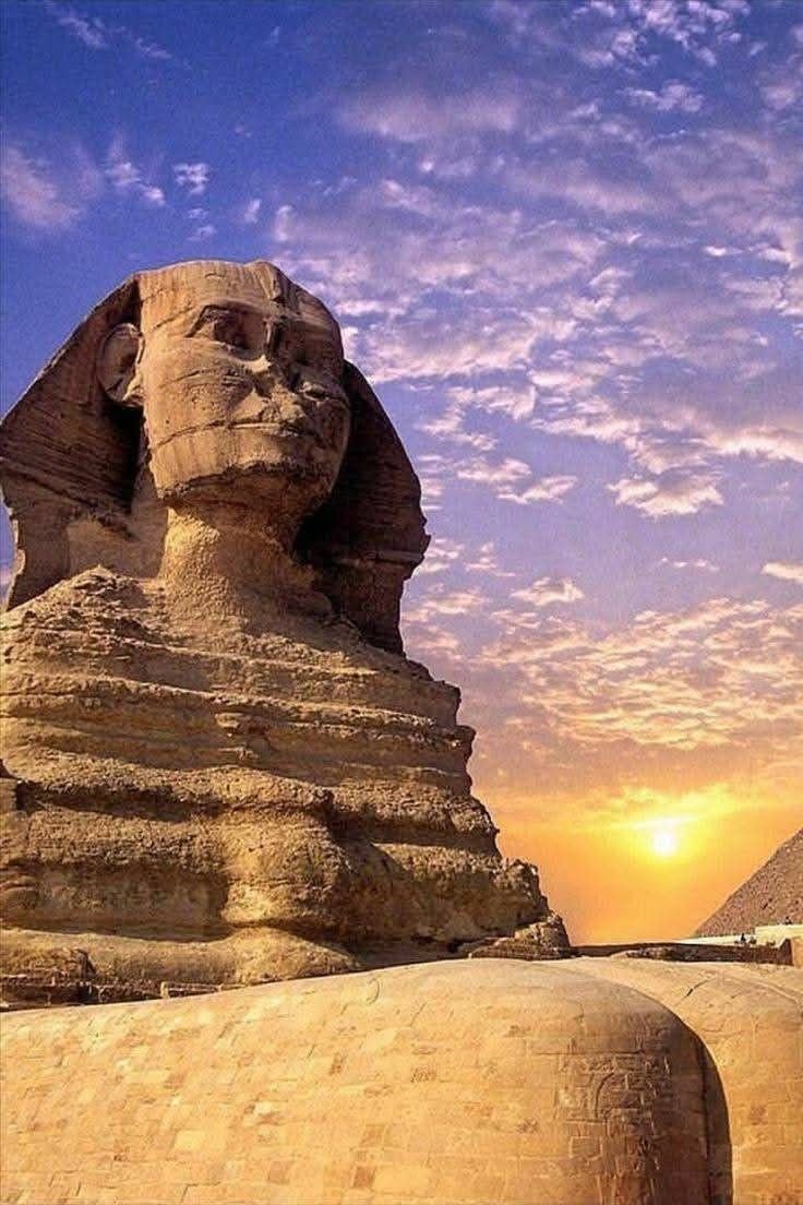 Egypt shore Excursions