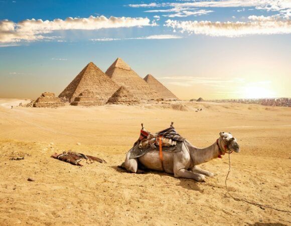 7-Day Tour in Cairo, Alexandria, Luxor, and Aswan