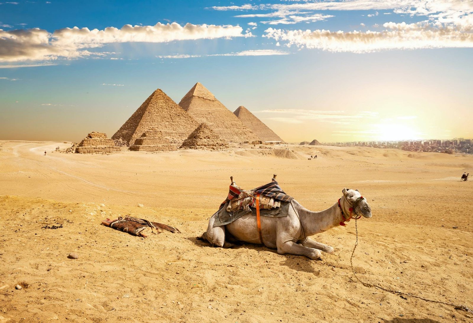 7-Day Tour in Cairo, Alexandria, Luxor, and Aswan