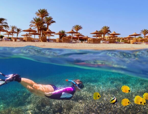 11 Days Tour in Cairo, Nile cruise and Red Sea Tour