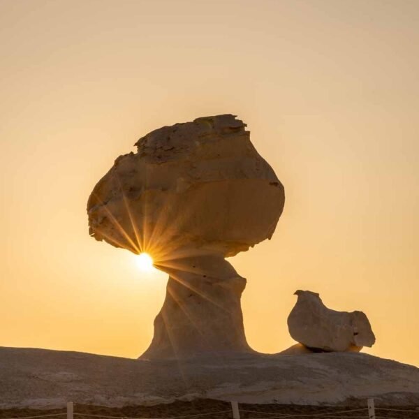 white desert egypt