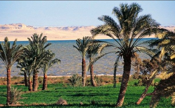 Wadi ElRayan - ElFayoum - Egypt